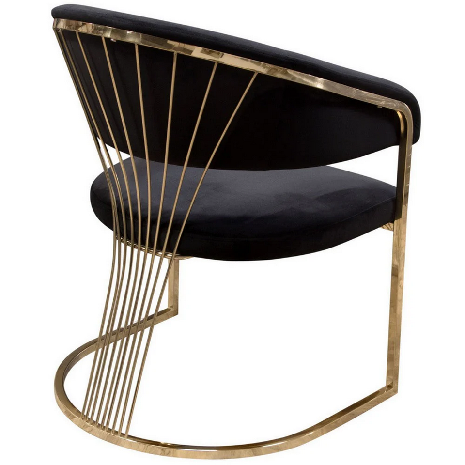 DP-Y1222 BLACK/GOLD